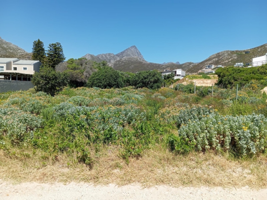 0 Bedroom Property for Sale in Rooi Els Western Cape